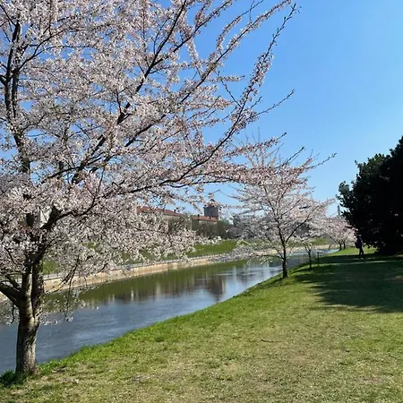 Daukanto 5 Lejlighed