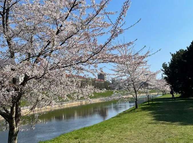 Daukanto 5 Lejlighed